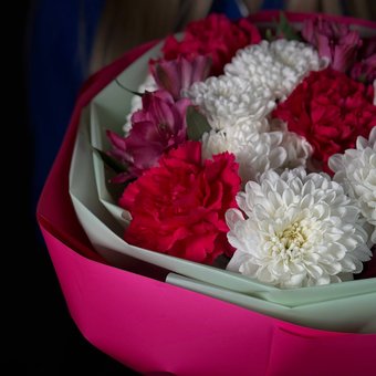 «Ты — мой дом»