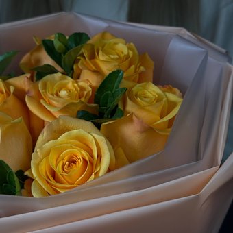 «7 причин улыбнуться»